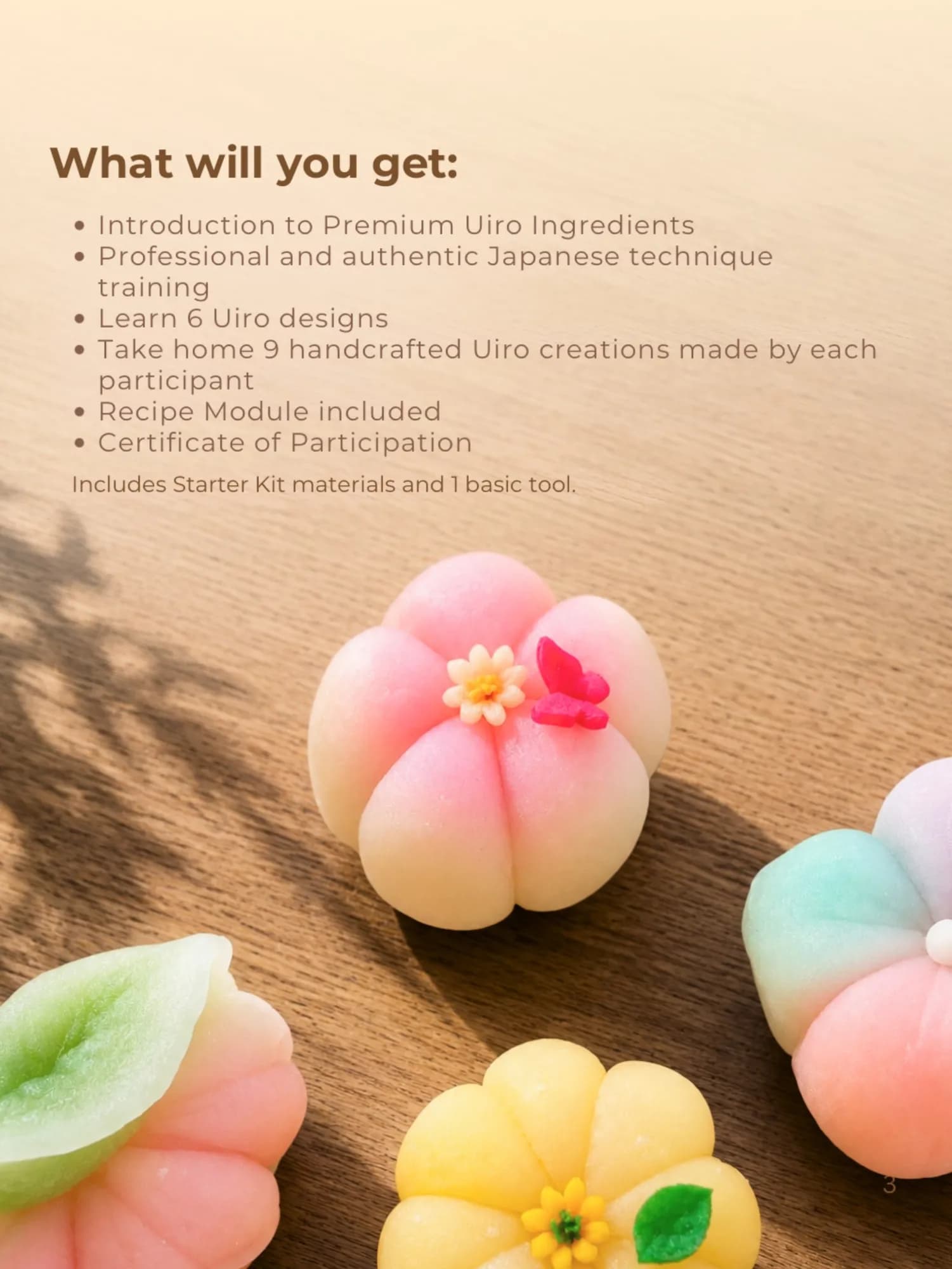 UIRO Full-Day Class with Elminah Tan